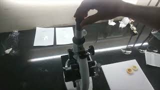 PROCEDURE FOR OCULAR MICROSCOPE.mp4