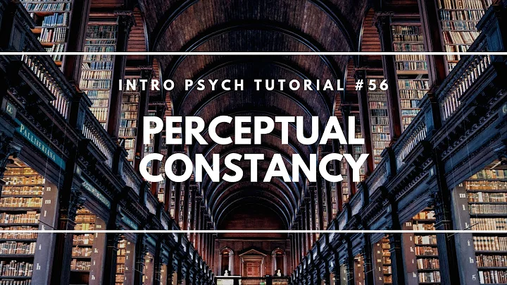 Perceptual Constancy (Intro Psych Tutorial #56)