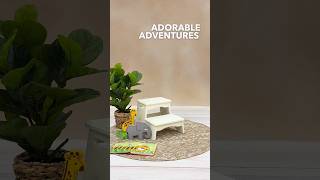 Adorable Adventures | Preschool Picture Day Behind the Scenes with Lifetouch