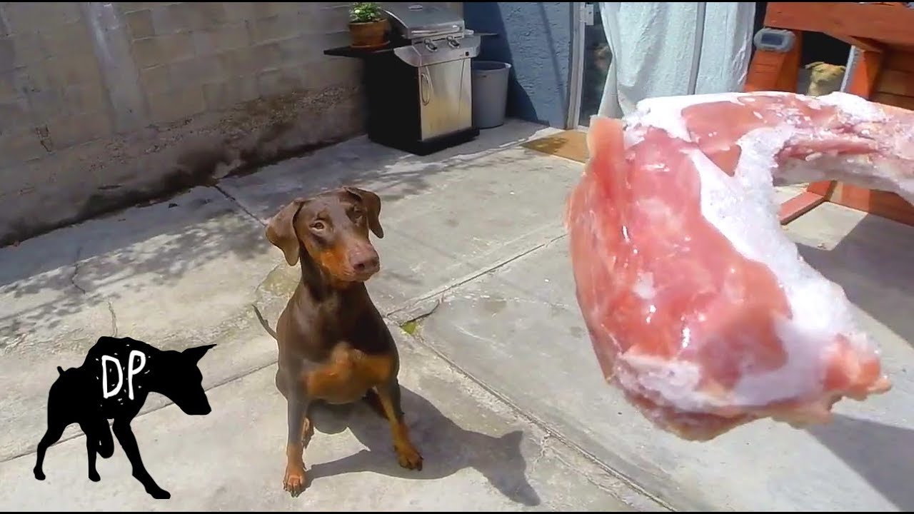 Can Dogs Eat Turkey Necks? | Kaia The Doberman