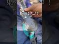 電動バリカンの中が凄い汚い‼️