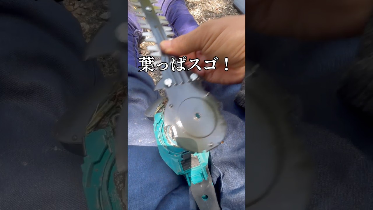電動バリカンの中が凄い汚い‼️