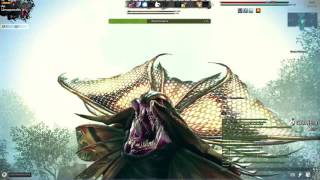 Vindictus! Three bugs one boss No problem!