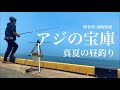 【福岡釣部 in 博多湾釣り】 060 【福岡 博多湾 須崎埠頭で真夏の昼釣り挑戦！】fukuoka fishing club in hakata suzaki wharf.