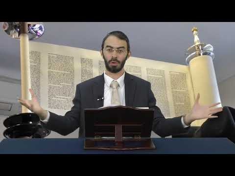 התורה שומרת על העולם | מושג יהודי | הרב אשר זנזורי