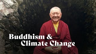 The Power of One: How Each of Us Can Make a Difference in Combating Climate Change | Ringu Tulku