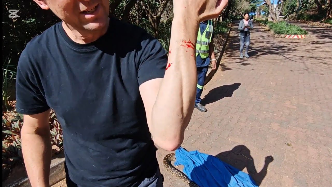 GETTING BITTEN was just part and parcel of this rescue... - YouTube