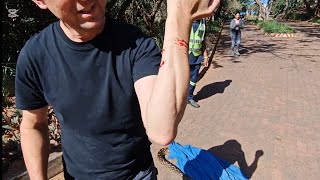 GETTING BITTEN was just part and parcel of this rescue...