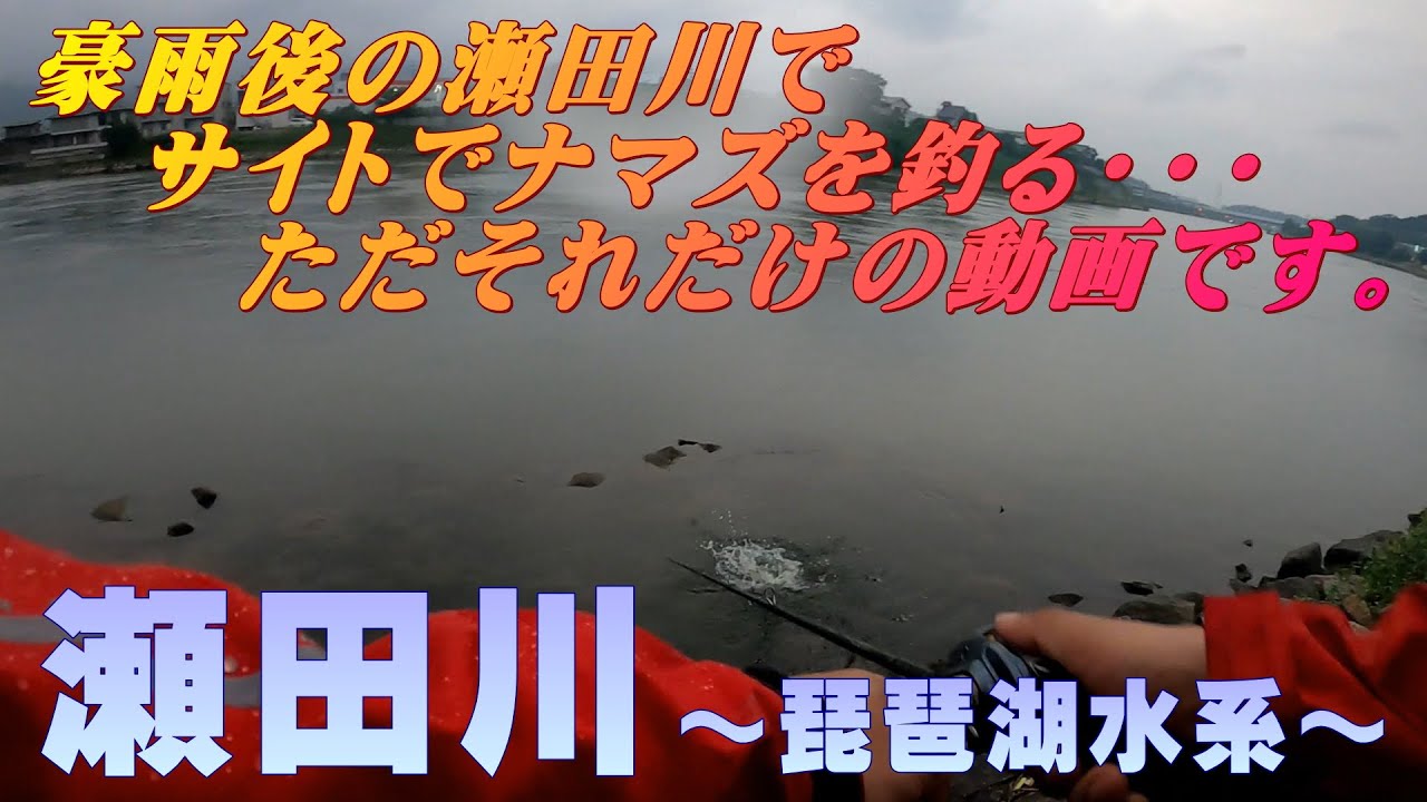 豪雨後の瀬田川でアフターフィシングはサイトでナマズと遊ぶ Youtube