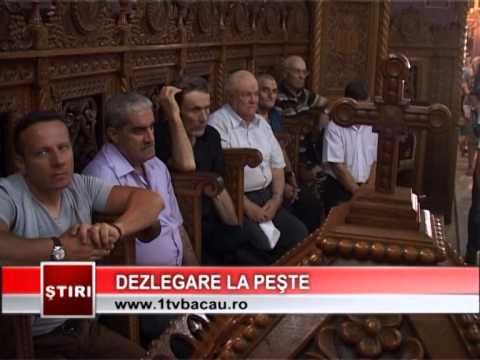 Dezlegare la peşte - www.1tvbacau.ro (06.08.2014) camera iphone 8 plus apk