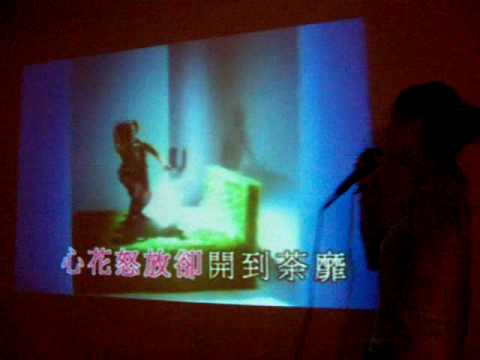 开到荼蘼 黄凤盈