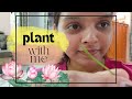 Planting Lotus Seeds 🪷 | by Poonam saroj #lotusplant #plantlover #plantcare #vlog #vlogs_bypoonam
