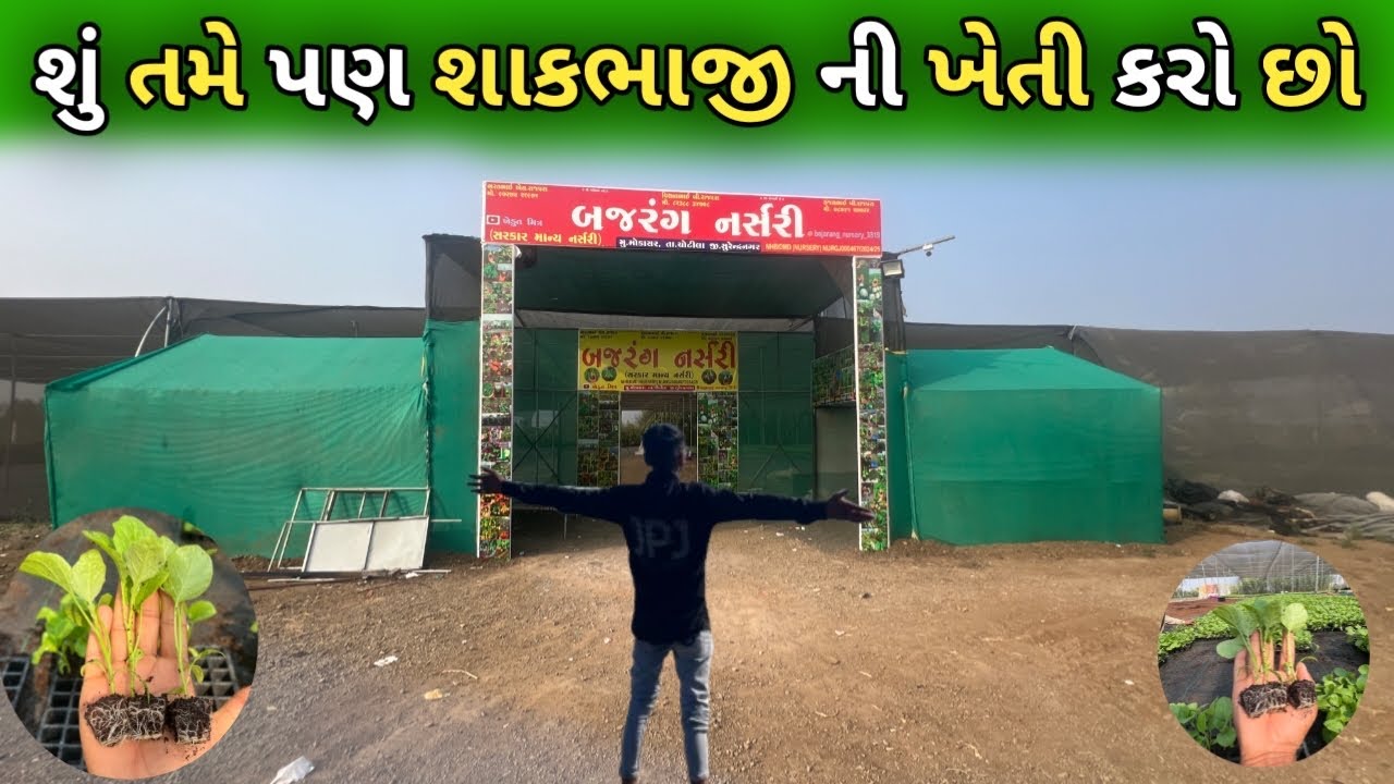 હજારો લોકો નું દિલ જીતનાર નર્સરી ||તમામ શાકભાજી ના વિશ્વાસ પાત્ર રોપા ||સરકાર માન્ય નર્સરી 