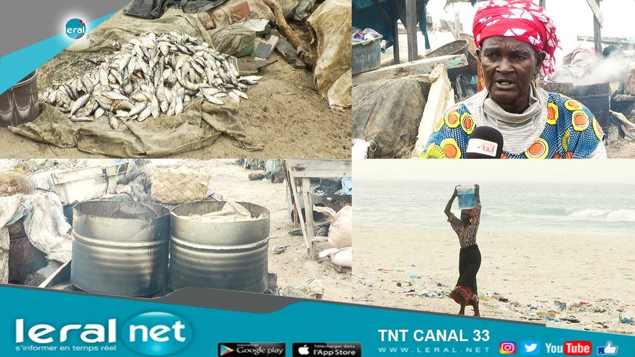 Transformatrices de poisson fumé ou 