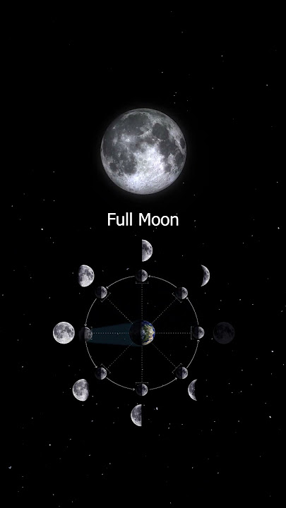 Moon Phases : Why does The Moon change its Shape #shorts #space #moon #moonphases #animation