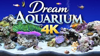 Digifish Clownfish Aquarium – 2 Hours | 5 Stunning Tanks in Ultra HD 4K
