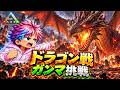 クモとゴリラは倒した...ドラゴンガンマ戦行くぜ！！【ARK】