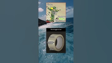 The struggle is real 😂😂