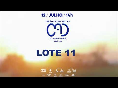 LOTE 11