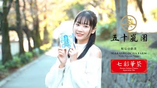 【PiXMiX】七彩華茶『水』のお茶 くき茶×バタフライピー【大谷美咲】
