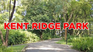 Kent Ridge Park || Walking Singapore