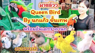 อัพเดทราคานก ร้าน Queen Bird By นกแก้ว ขั้นเทพ สนามหลวง2