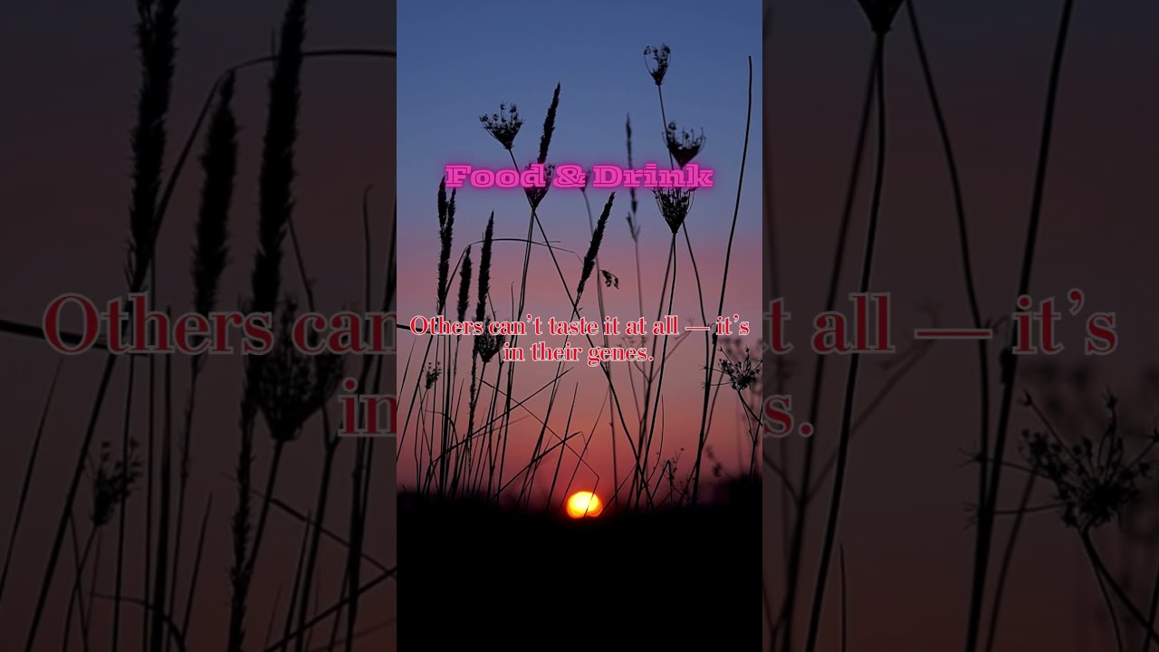 Food & Drink Facts That Will Blow Your Mind 🍔🥤