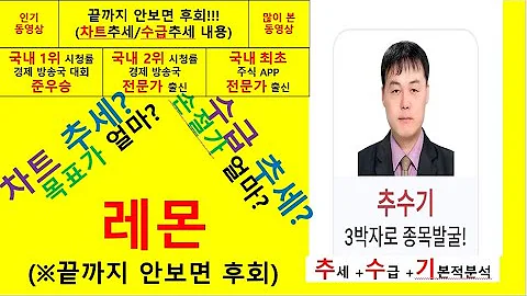 레몬(294140) 추수기(추수) 전문가 종목 분석