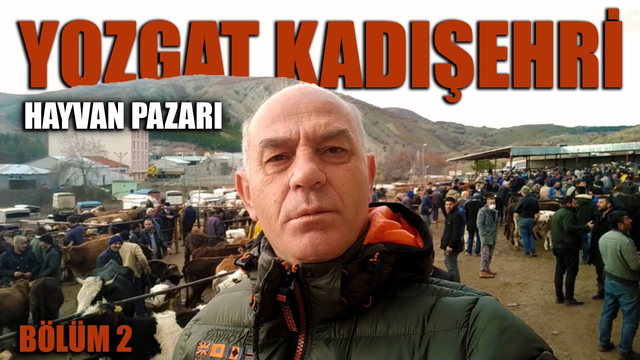 PAZARLIKLARI VE FİYATLARI İLE DİKKAT ÇEKEN PAZAR | YOZGAT KADIŞEHRİ | BÖLÜM 2