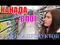 КАНАДА ВЛОГ | ЗАКУПКА ПРОДУКТОВ В DOLLARAMA | Накупили  Вкусняшек