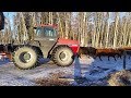 Ice Road Tractors... Feeding Cows With Old Smokey!!