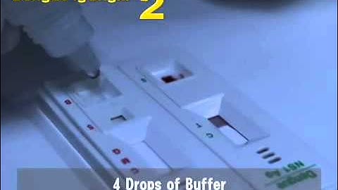 Dengue NS1 + IgG/IgM Test Kit Instruction Video