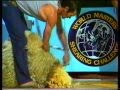 World Masters Shearing Challenge