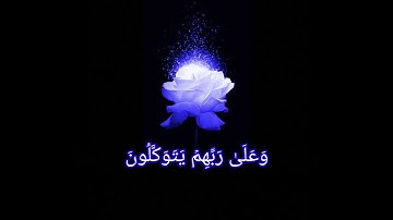 خشوع غير طبيعي من سورة الانفال 🖤|| بصوت احمد العجمي🖤تصاميم قرآن.. راحة نفسية 🖤|| حالات واتس اب دينيه