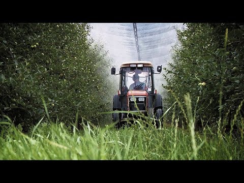 Video: Cosa Sono Gli Erbicidi Continui Continuous