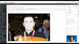 Giphy, Pixabay and Imgur Wordpress Plugin Tutorial - As You Type