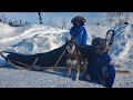 Winter camping in alaska with a sled dog team