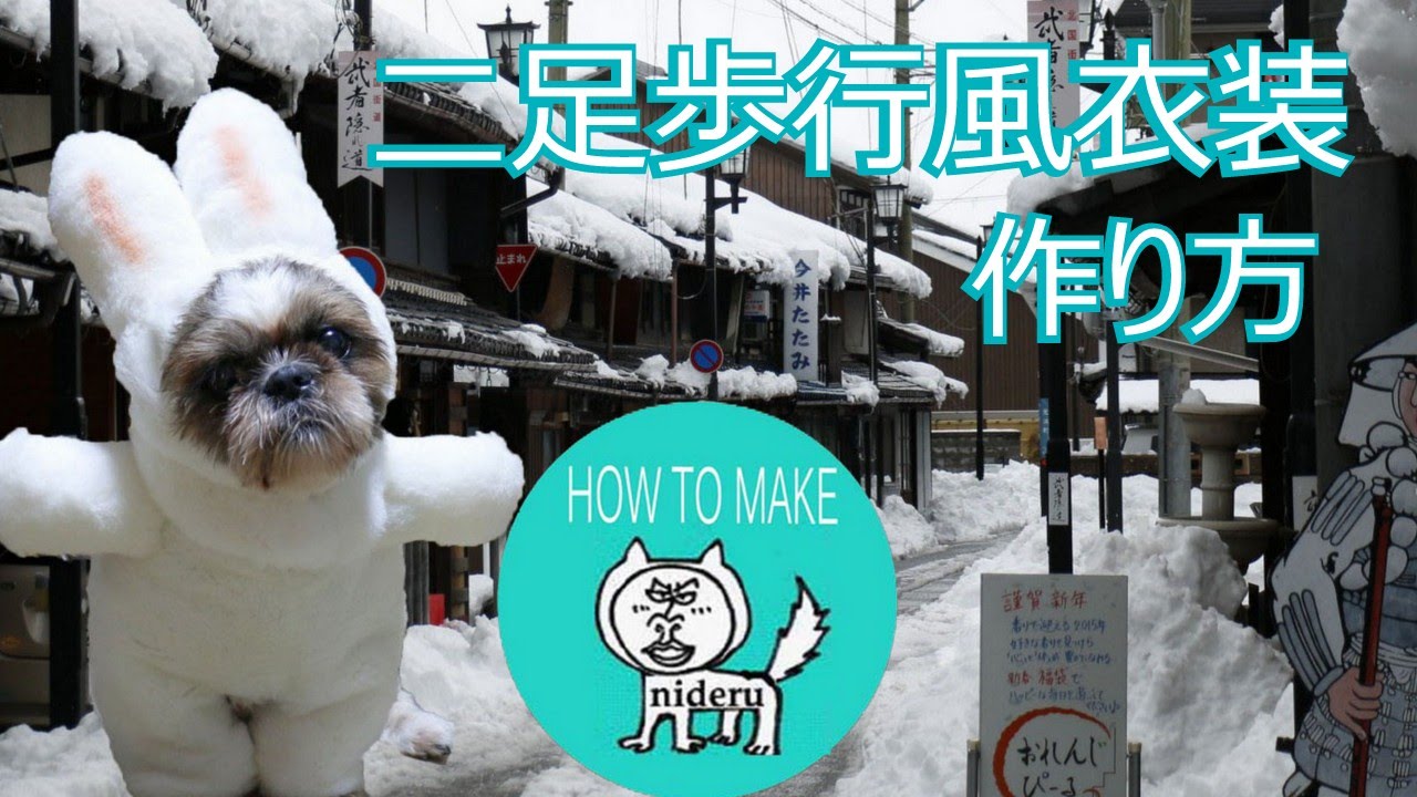 犬 用の 二足歩行 風 コスプレ 撮影 うさぎ 衣装 作り方 Nideru How To Make Dog Cosplay Rabbit Costume Youtube