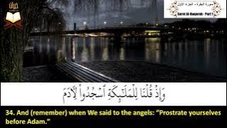 002: Surah Al-Baqarah (The Cow) | Sheikh: Abu Bakr Al Shatri | سورة البقرة | الشيخ: أبو بكر الشاطرى