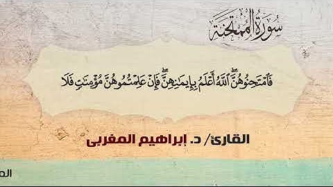 60- الممتحنة ،، القارئ / د. إبراهيم المغربي