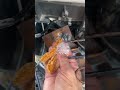 Finish repair refrigerator not cool