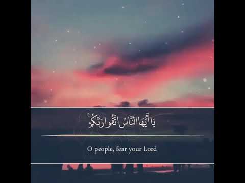 حالات واتساب انستا يا ايها الناس اتقوا ربكم صوت رائع