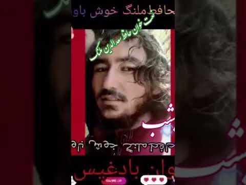 حافظ ملنگ بادغیسی 