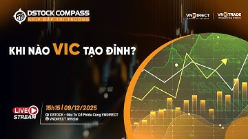 KHI NÀO VIC TẠO ĐỈNH? | NHỊP ĐẬP THỊ TRƯỜNG 09/12/2025