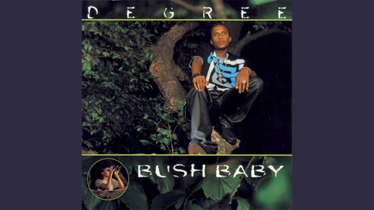 Bush Baby - YouTube