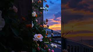 Raaz Aankhein Teri🥀👀 |Lyrics Video| 👫 Main Chalunga Mushkilo Mein Saya Ban Tera Status |#shorts