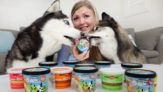 Trying Ben & Jerry's Doggy Ice Cream With My Dogs! by The Husky Fam 30,304 views 1 year ago 6 minutes, 25 seconds