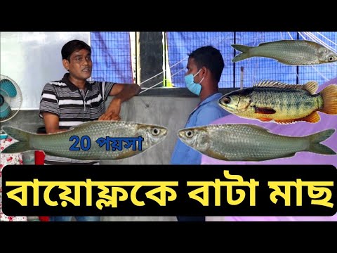 ভিডিও: ট্রাউট কোন মাছের সাথে সম্পর্কিত?