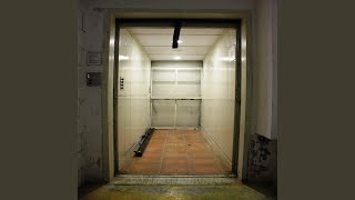 Sprightly Hotel Elevators