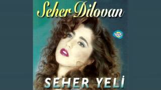 Seher Dilovan - Çoğu Bitti Azı Kaldı Resimi